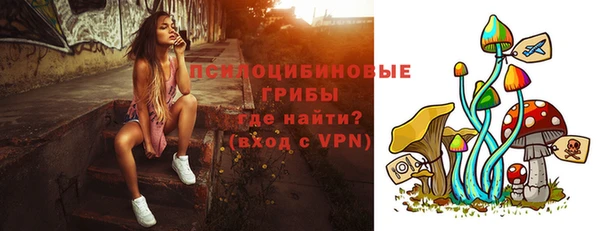 МДПВ Дмитриев